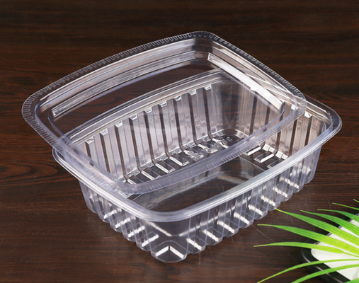 Tray Plastik Makaron Transparan Ramah Lingkungan yang Dapat Dikustomisasi untuk Kemasan Makanan