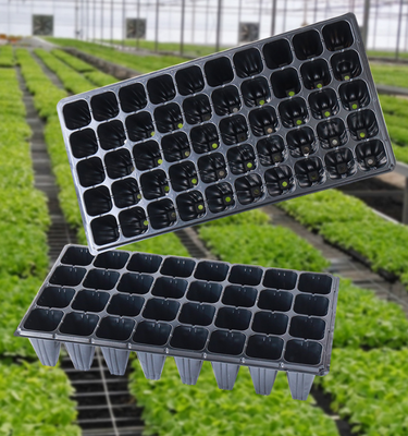 72 cell tray,105 cell tray,128 cell tray,200 cell tray,hole seed tray,
