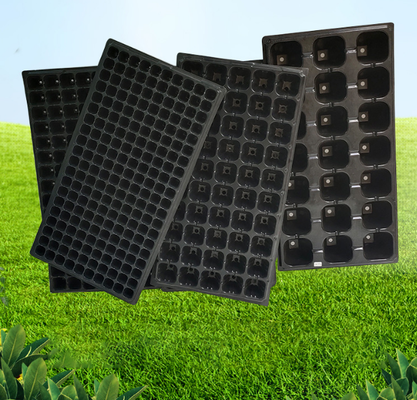 Pot benih 21-sel 32-sel 50-sel 128-sel 200 sel dan sel baki dengan dinding yang lebih dalam dan lebih tebal; bahan berbasis kayu baru; budidaya plastik