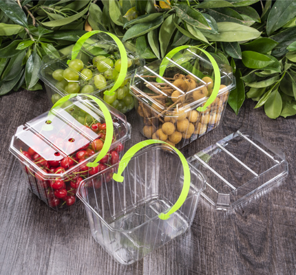 Kotak plastik buah, nampan buah, kotak kemasan daging, kotak kemasan sayuran, kotak makanan cepat saji, kotak biskuit, kotak kue, serta kotak transparan dan kotak cetak.