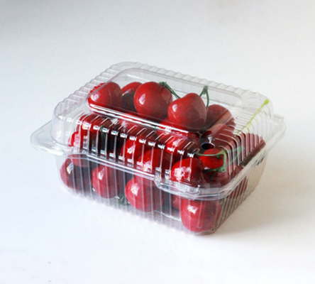 Kemasan buah, kotak kemasan daging, kotak kemasan sayuran, nampan bibit, pot bunga plastik, kotak makanan cepat saji, serta kotak transparan PVC, PP, PET dan kotak cetak.