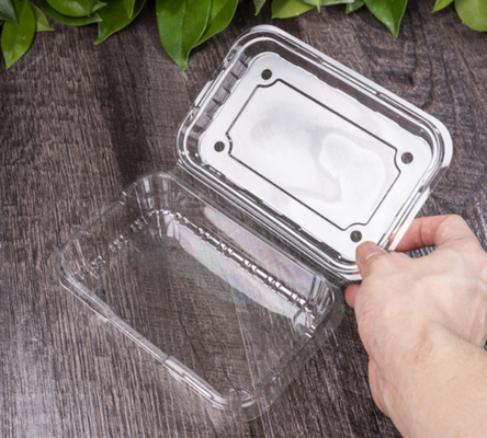 vacuum blister packaging clear disposable blister vented fruit box  ventilation holes container anti‑crush fruit packaging