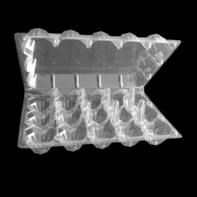 Ramah Lingkungan 30 Hitungan Egg Flats 32.5cm Plastik Blister Tray Dalam Film PET