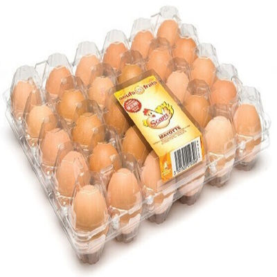 Nyaman 8 pcs 0.7mm PVC Plastik Karton Telur Pengangkutan Egg Incubator Tray