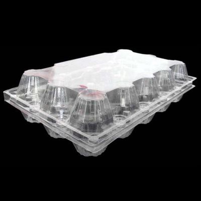 15 bungkus Sekali Pakai PET Baki Telur Plastik Bening 71mm Square Egg Tray Holder