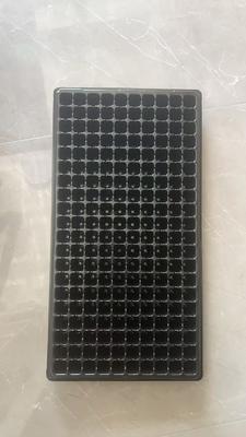 Baki semai setebal 2mm dengan 200 sel, baki persemaian