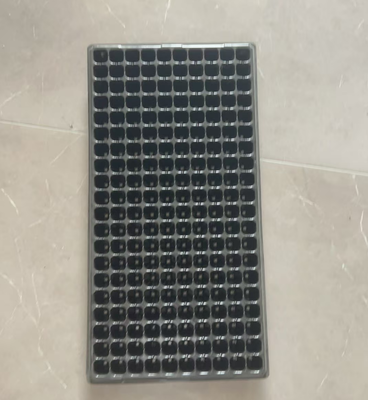 Tray awal benih,tray benih plastik,tray nursery,tray colokan,tray benih