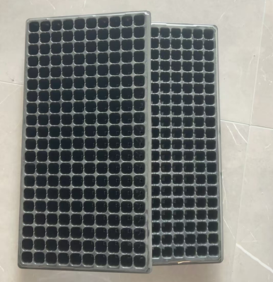 tray rumah kaca,tray bibit,tray pembibitan,tray bibit hidroponik,tray bibit sayuran
